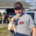 Pet Nav Transport - Safe and Attentive Pet Transportation - Glasgow, KY