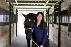 Request Quote: ProAnimal Chiropractic - Licensed Animal Chiropractor - Montgomery, OH