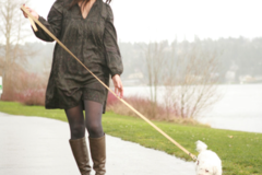 Request Quote: Speciality: Hip and Hind Leg Healing - Reiki For Pets - Nationwide