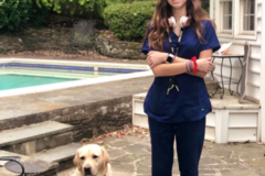 Request Quote: DorothyDASH Pet Taxi Service  - Martha's Vineyard School District, MA