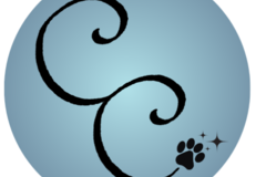 Request Quote: Companion Crossroads: In Home Pet Euthanasia - Morrison, CO