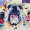 Soulful Pet Portraits - Custom Watercolor Paintings - Nationwide
