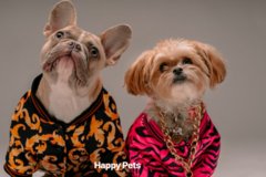 Request Quote: Peters Transportation - Quality Pet Transportation For Less - Nationwide