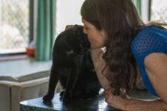 Request Quote: Pet Loss and Grief Counseling and Coaching - Nationwide