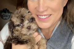 Request Quote: SLS Pet Transport- Caring and Reliable Pet Transporter  - Nationwide