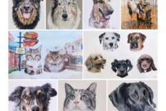 Request Quote: Custom Pet Portrait Art - Nationwide