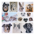 Custom Pet Portrait Art - Nationwide