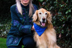 Request Quote: Private In Your Home Dog Training - Monroe, WA
