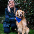 Private In Your Home Dog Training - Monroe, WA