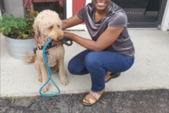 Request Quote: Uncle Willie's Pet Transport  - Columbia, SC