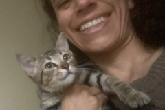 Request Quote: Shonishin Needle Free Animal Acupuncture and Massage - Lyons, CO