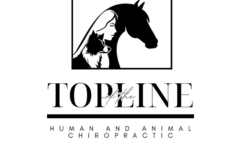 Request Quote: Pet Wellness: Dog and Equine Chiropractic  - Broomfield, CO