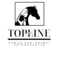 Pet Wellness: Dog and Equine Chiropractic  - Broomfield, CO