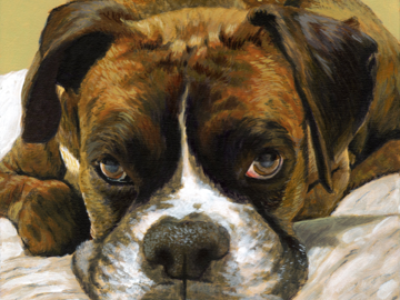 Bosley, Extreme Close-Up, 14x14in.