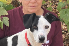 Request Quote: Naomi's Light Reiki Meditation for Pet End of Life Support - Nationwide