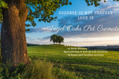 Request Quote: In Home Pet Euthanasia and Cremation - Spring, TX
