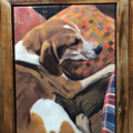 Steven Reiter - Cat and Dog Portrait Painting - Nationwide