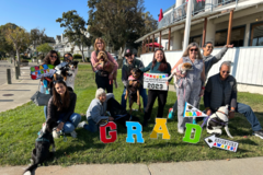 Request Quote: Doggy Detail Training - Certified Private Dog Trainers - Vallejo, CA