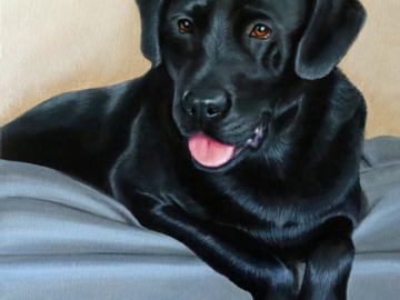 This beautiful black labrador retriever portrait is a 16" x 20" acrylic painting by artist Heather A. Mitchell. 