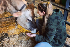 Request Quote: Certified Reiki Master Specializing in Animal Reiki - Nationwide