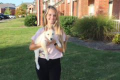Request Quote: Paws in Cabin - Domestic & International Pet Transport Nanny - Nationwide