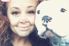 Request Quote: Safe and Loving Pet Carrier - Pet Transport Service - Nationwide