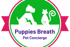 Request Quote: USDA Registered Pet Transport Advice Consultations - Nationwide