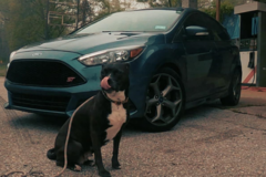 Request Quote: Get Your Animal Back Safely - Pet Taxi Service - Cottondale, AL