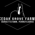 Cedar Grove Farm - Horse Boarding - Burgettstown, PA