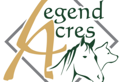 Request Quote: Legend Acres - Virtual Dog Training and Horse Solutions - Surprise, AZ