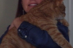 Request Quote: All God's Creatures In Home Pet Sitting - Austin, TX