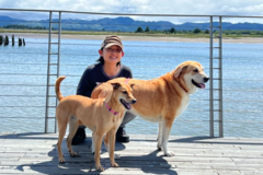 Request Quote: Natural Food Therapy - Pet Nutrition Consultations  - Nationwide