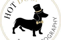 Request Quote: Hot Dog Pet Photography - Orlando, FL