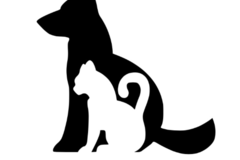 Request Quote: Home Sweet Home Pet Delivery - Nationwide
