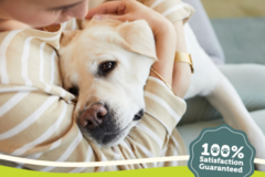 Request Quote: Pet Waste Pick-up Experts - Scoop Poop Service - Cobb County, GA