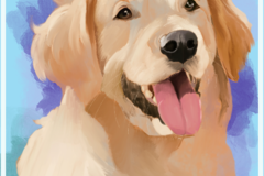 Request Quote: Digital and Physical Pet Portraits - Nationwide