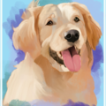 Digital and Physical Pet Portraits - Nationwide