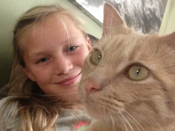 Cat Care