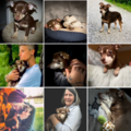 Turtle Talk Pet Loss Support and Pet Photography - Nationwide