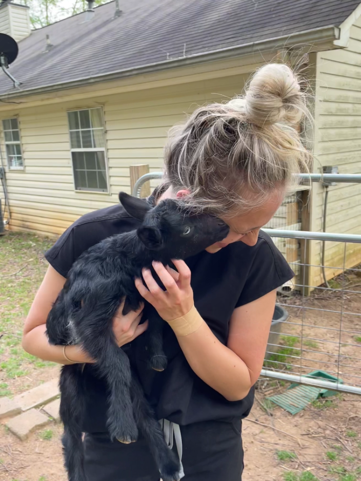 Jacksonville, FL Balance Chiropractic and Wellness Animal Chiropractor