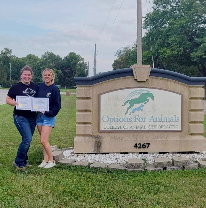 Jacksonville, FL Balance Chiropractic and Wellness Animal Chiropractor