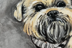Request Quote: Pet Portrait Paintings by Amber Bailey - Nationwide