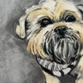 Pet Portrait Paintings by Amber Bailey - Nationwide