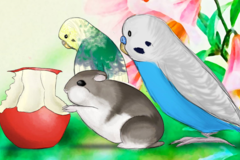 Request Quote: Digital Pet Portraits - Nationwide