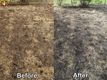 Before and After