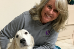 Request Quote: Synergy Dog Training and Behavior Solutions - Nationwide