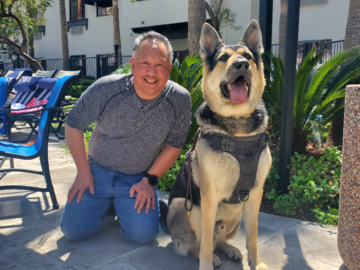 Cusco Service dog that could not sit