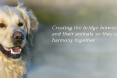 Request Quote: 30 Min Animal Communication Session By Phone - Nationwide