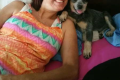 Request Quote: Compassionate Interspecies Animal Communication - Nationwide