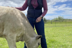 Request Quote: 4PetTalks Animal Communication and Healing Services - Nationwide